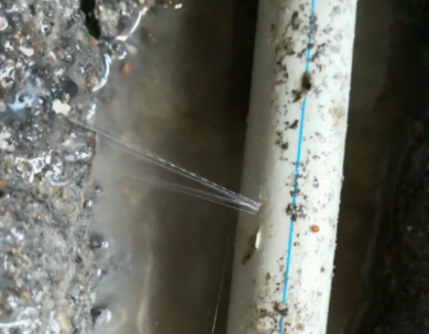 邓州测漏水哪家好