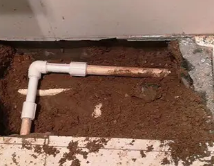 邓州测漏水哪家好