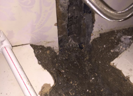 邓州卫生间测漏水哪家好