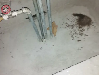 邓州卫生间测漏水价格明细