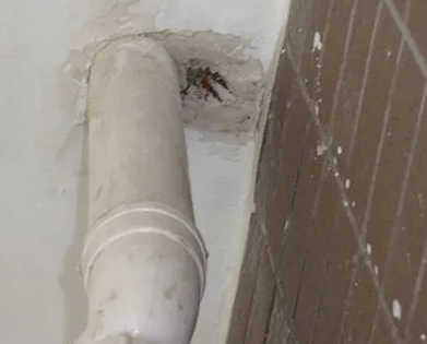 邓州漏水检测哪家好